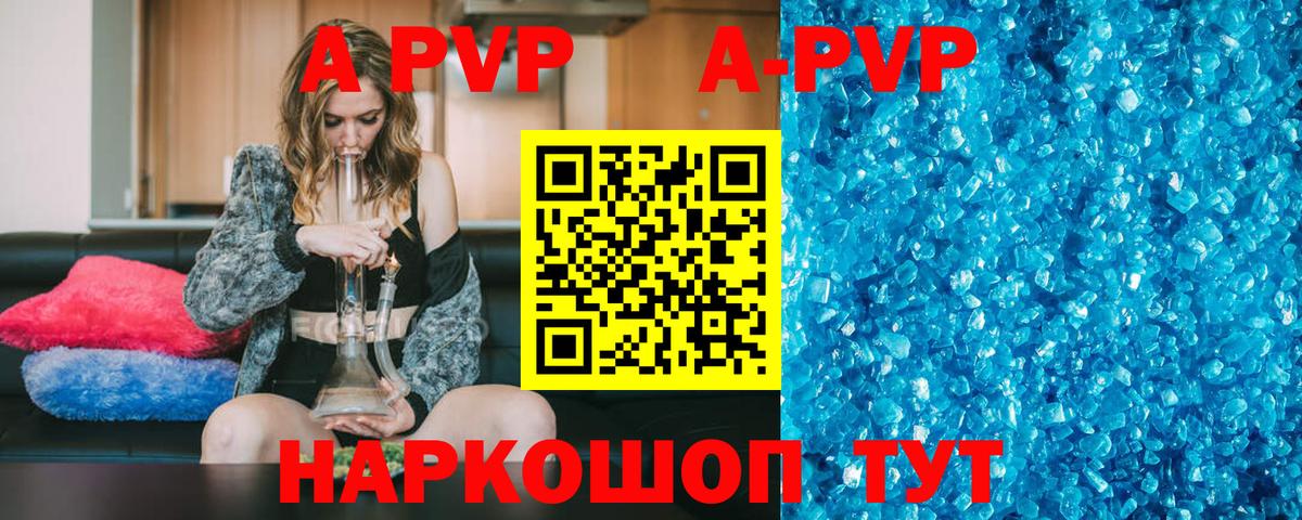 Alfa_PVP СК Полысаево