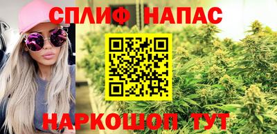 стаф Моздок