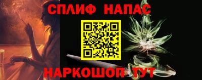 стаф Моздок