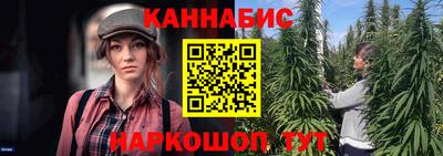 стаф Моздок